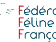 Logo fff