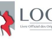 Loof